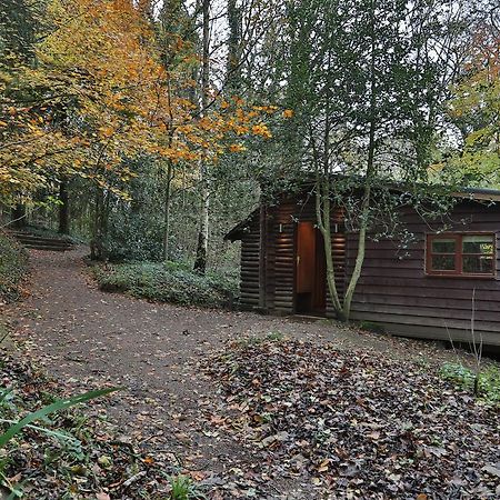 Pinetum Lodge Gloucester Quarto foto
